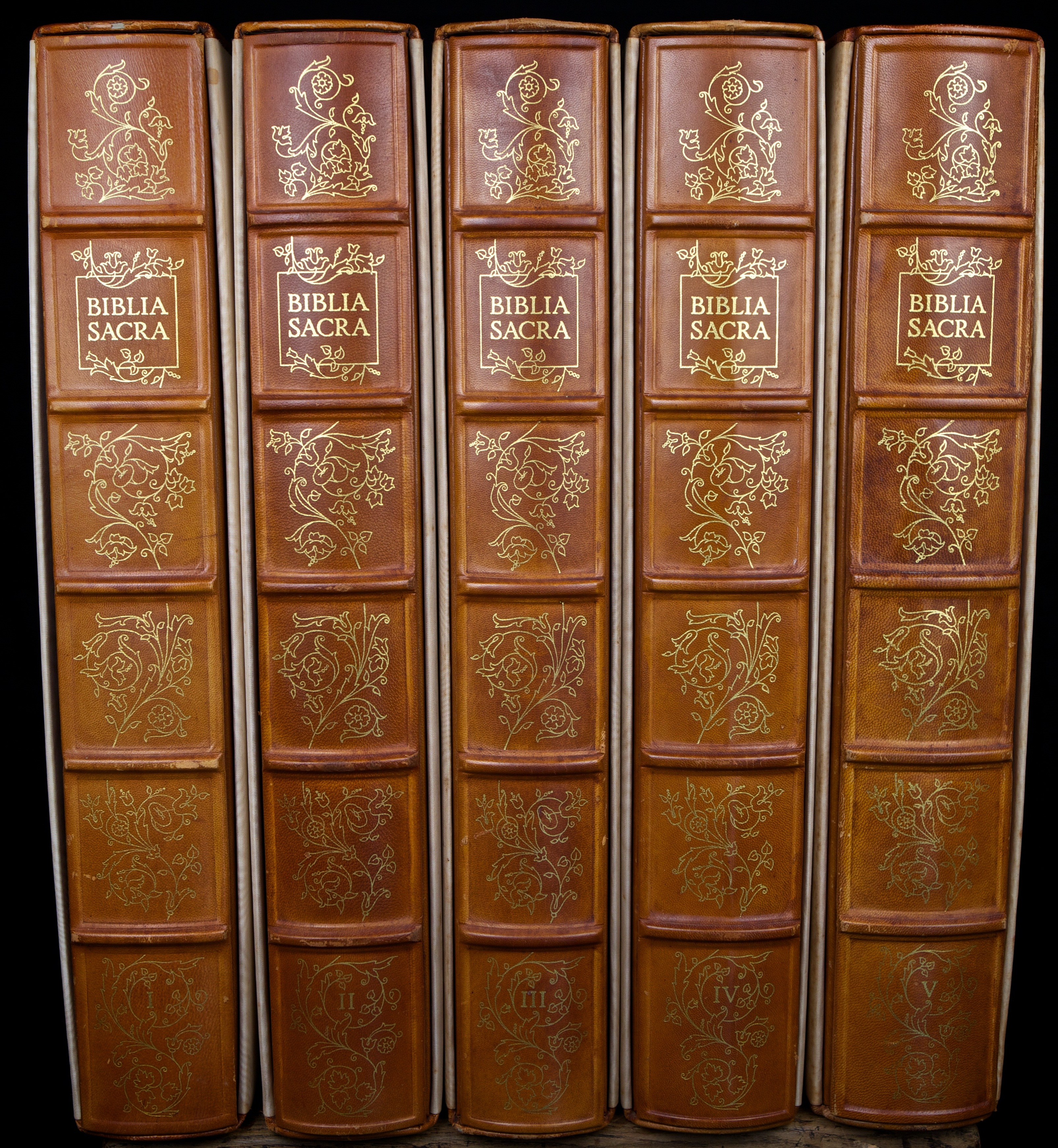 Salvador Dali Biblia Sacra vulgatae editionis 5 volumi 105 litografie Rizzoli Milano 1967 frontespizio